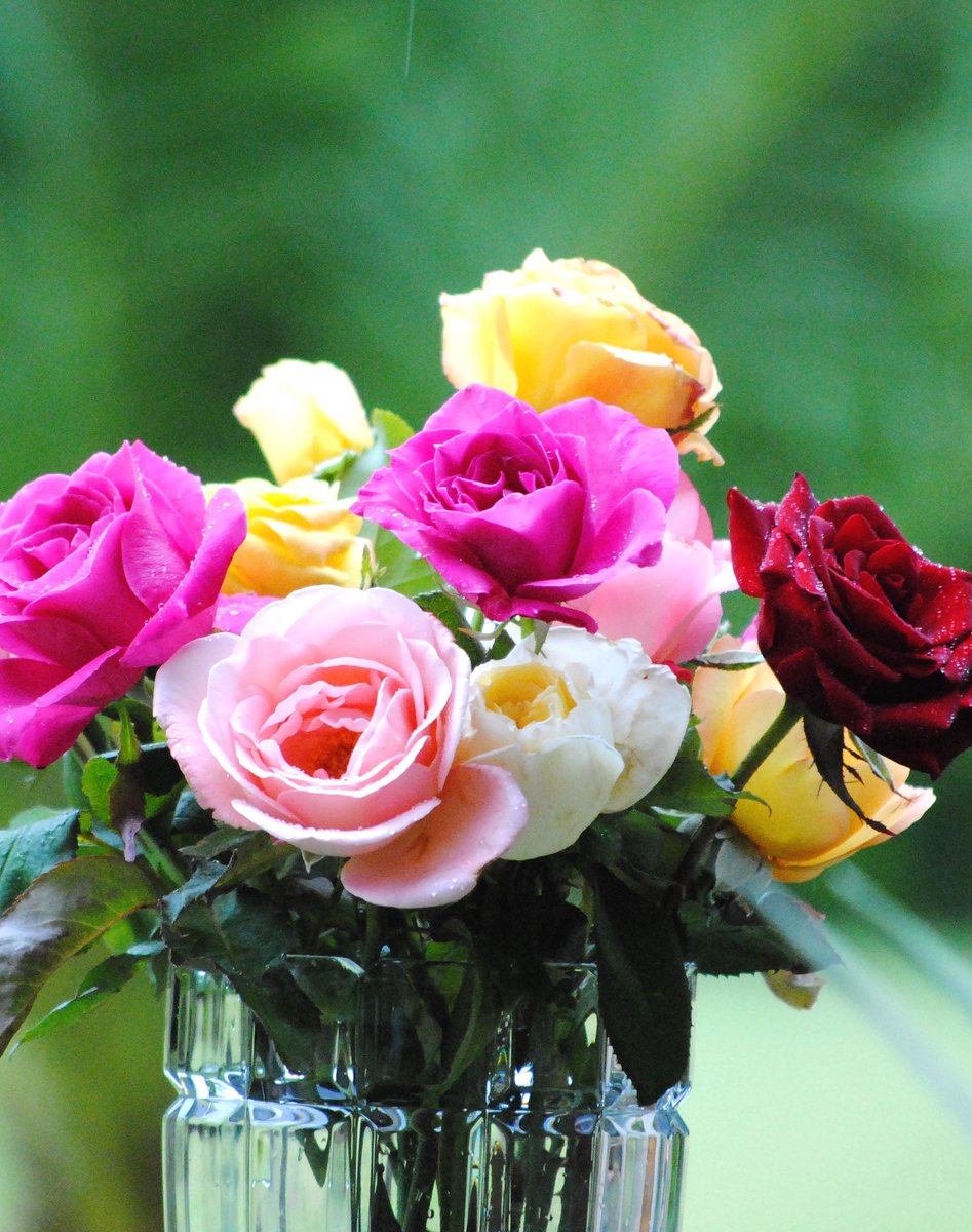 Цветы по вторникам: подписка на букеты для дома, офиса и ресепшен